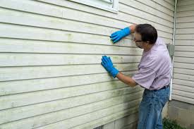 Affordable Siding Repair and Maintenance Services in Arbuckle, CA